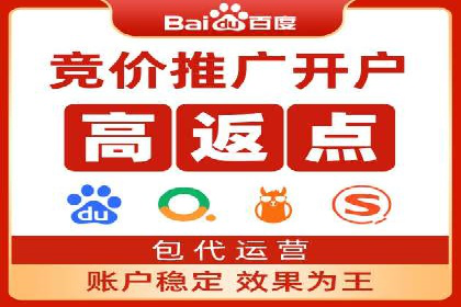 网络推广策略：竞价广告的实践案例